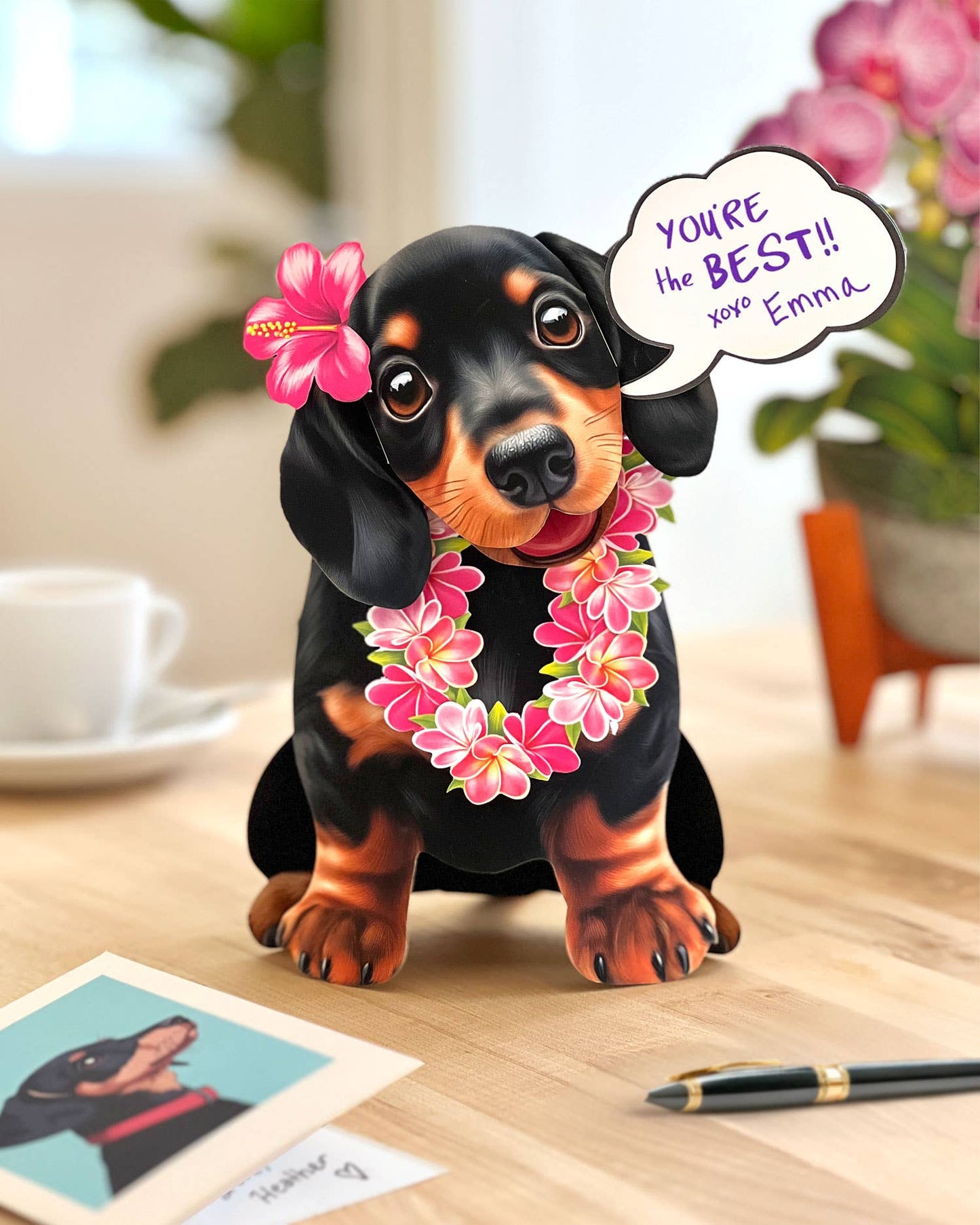 Dachshund (6 Mini Pop-up Greeting Cards)