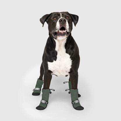 Soft Shield Boots- Dog Boots