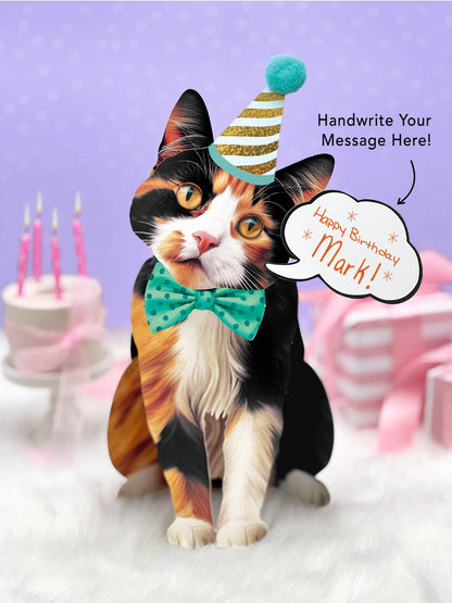 Calico Cat (6 Pop-up Greeting Cards)
