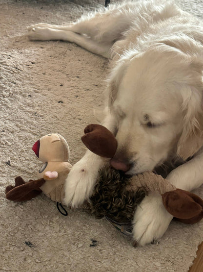 Holiday Ruffian Reindeer