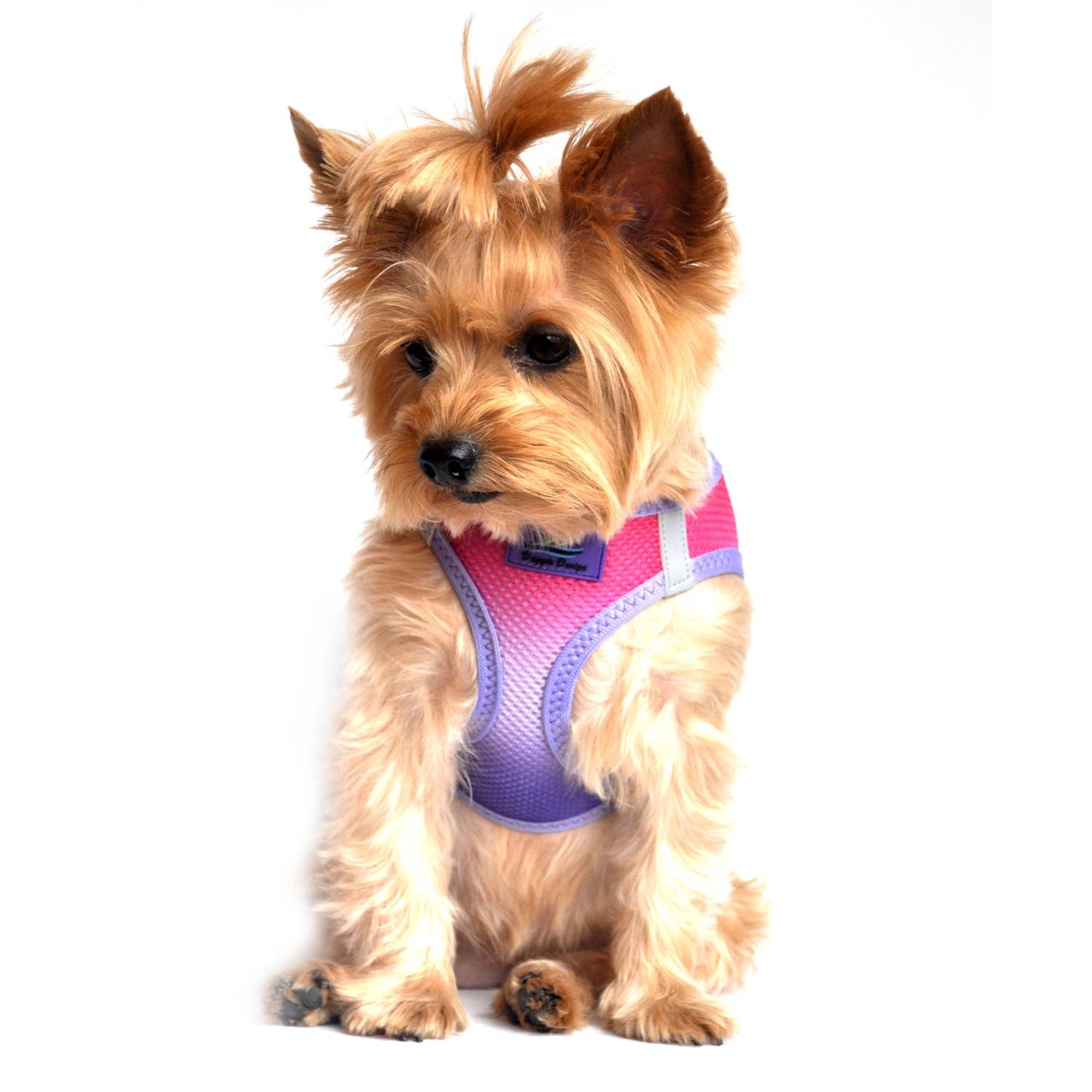 American River Ombre Dog Harness - Raspberry Sundae