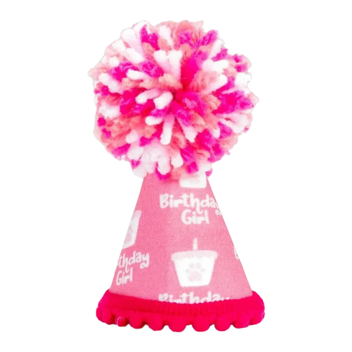 Barkday Girl Hat