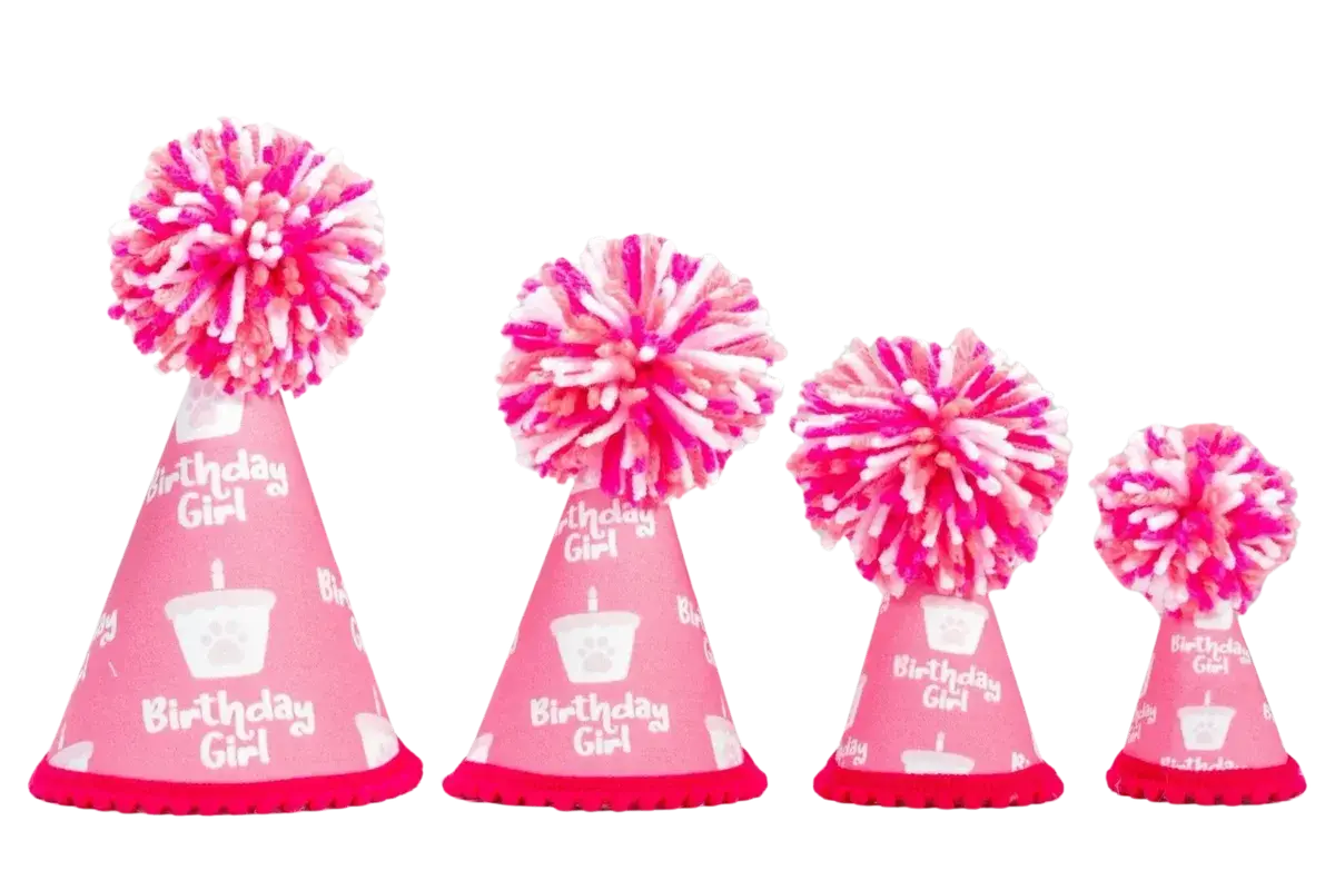 Barkday Girl Hat