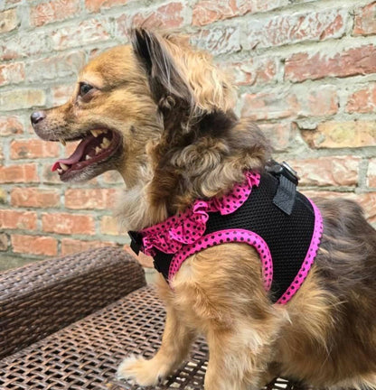American River Polka Dot Dog Harness - Hot Pink & Black