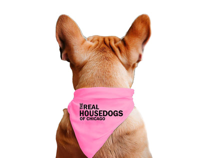 The Real House Dogs of CUSTOM CITY  - Dog Bandana