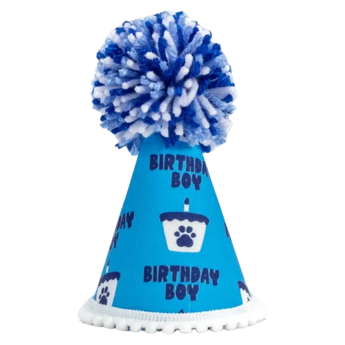 Barkday Boy Hat