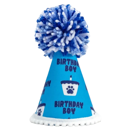Barkday Boy Hat