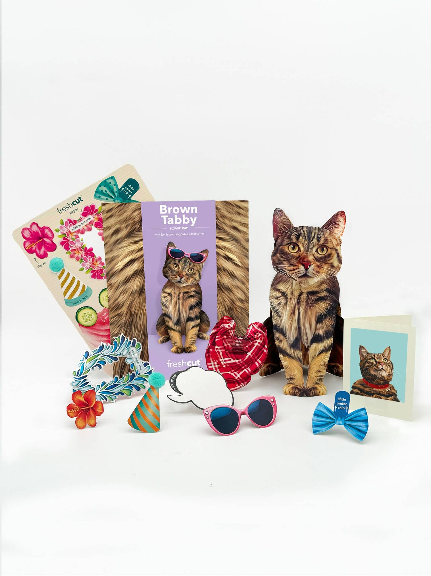 Brown Tabby (6 Pop-up Greeting Cards)