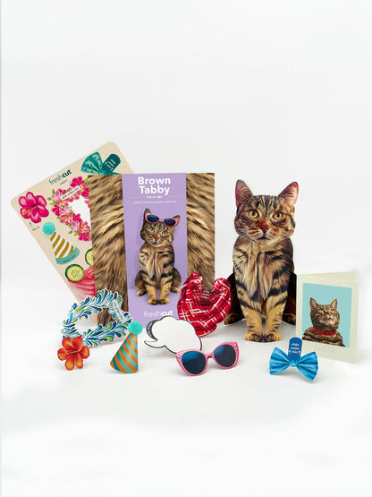 Brown Tabby (6 Pop-up Greeting Cards)