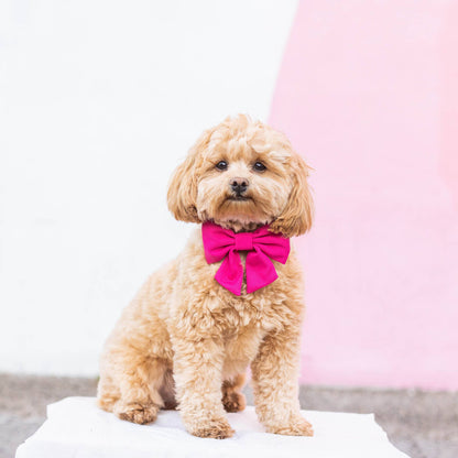 Hot Pink Lady Dog Bow