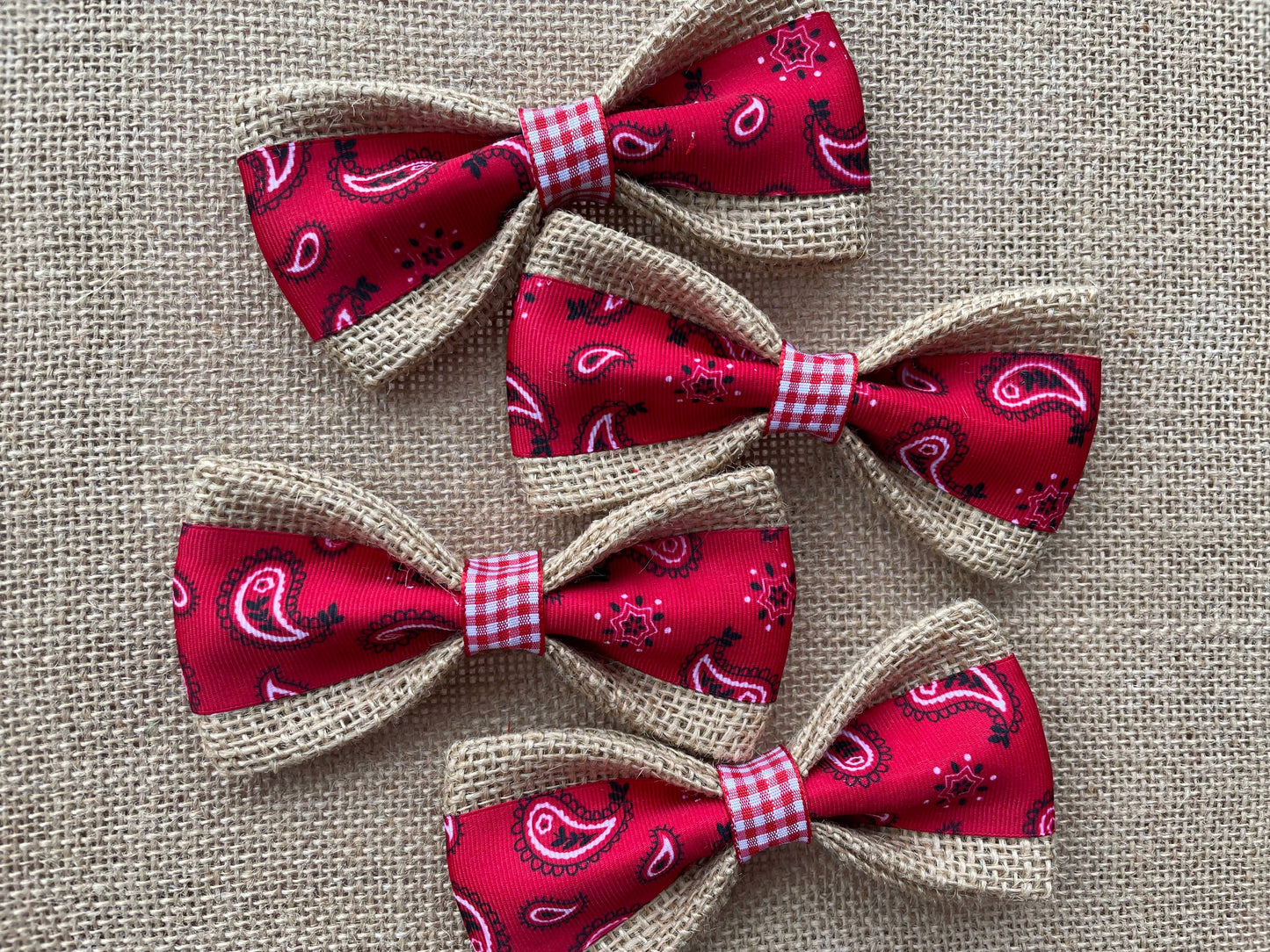 SALE *Red Bandanna