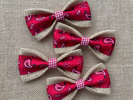 SALE *Red Bandanna