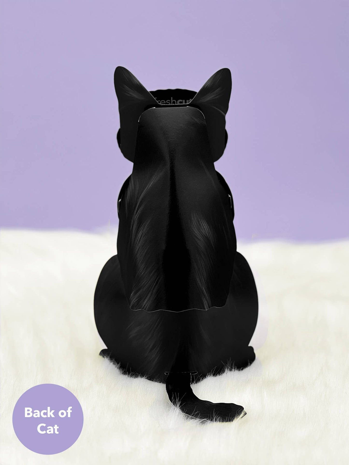 Black Cat (6 Pop-up Greeting Cards)