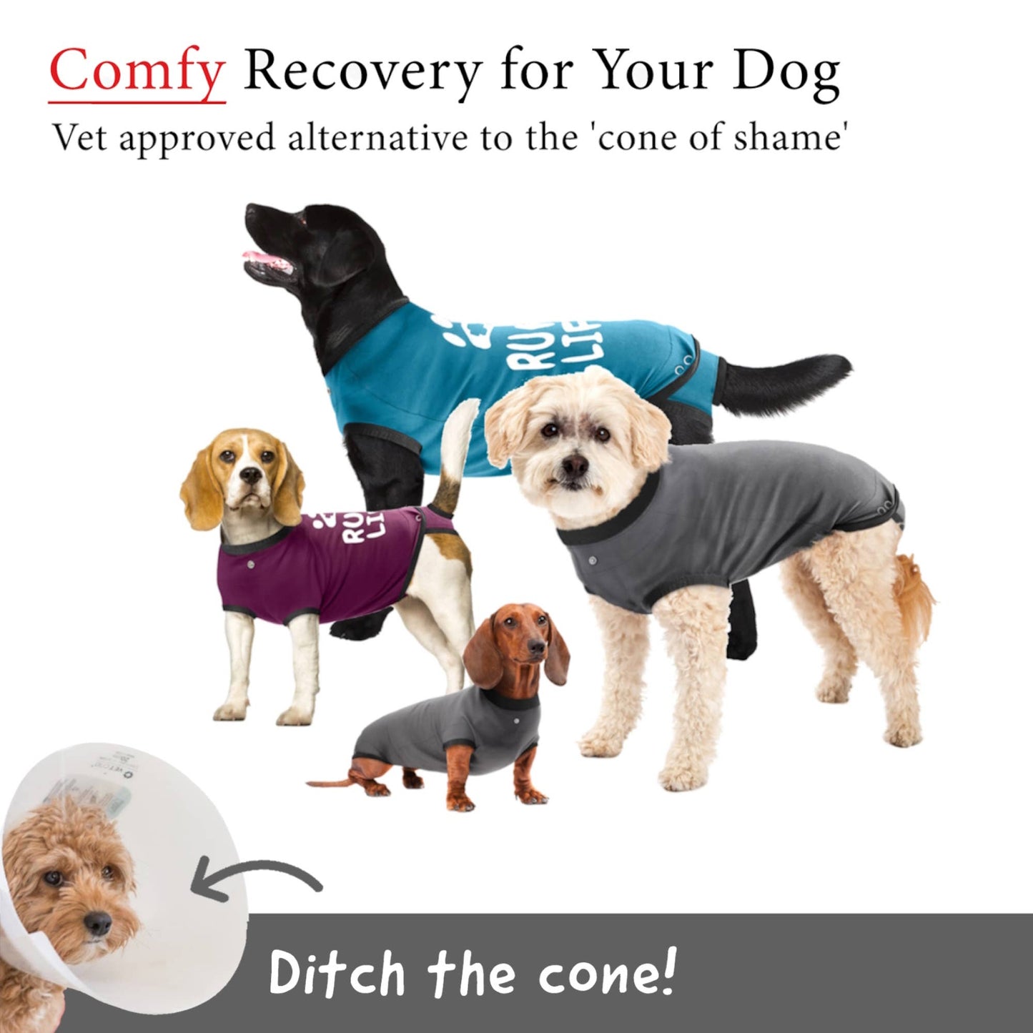 BellyGuard Recovery Suit For Dogs - Grey