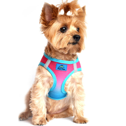 American River Ombre Dog Harness - Sugar Plum