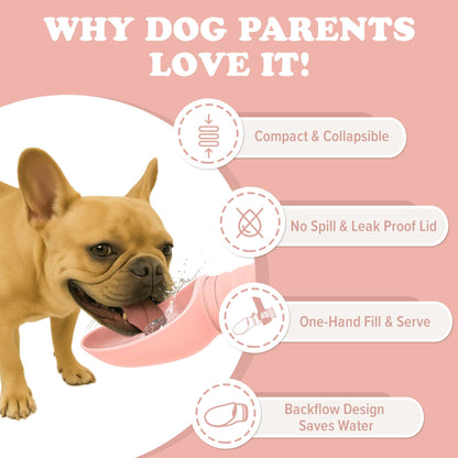 Water Bottles for Dogs - Leakproof, Compact, BPA free