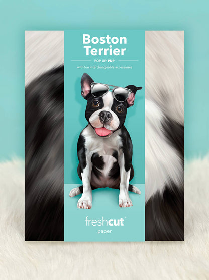 Boston Terrier (6 Pop-up Greeting Cards)
