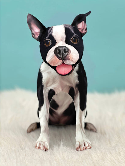 Boston Terrier (6 Pop-up Greeting Cards)