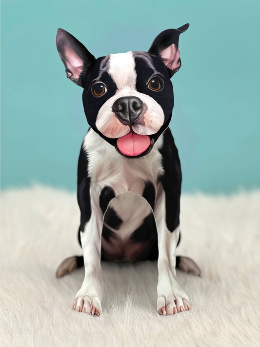 Boston Terrier (6 Pop-up Greeting Cards)