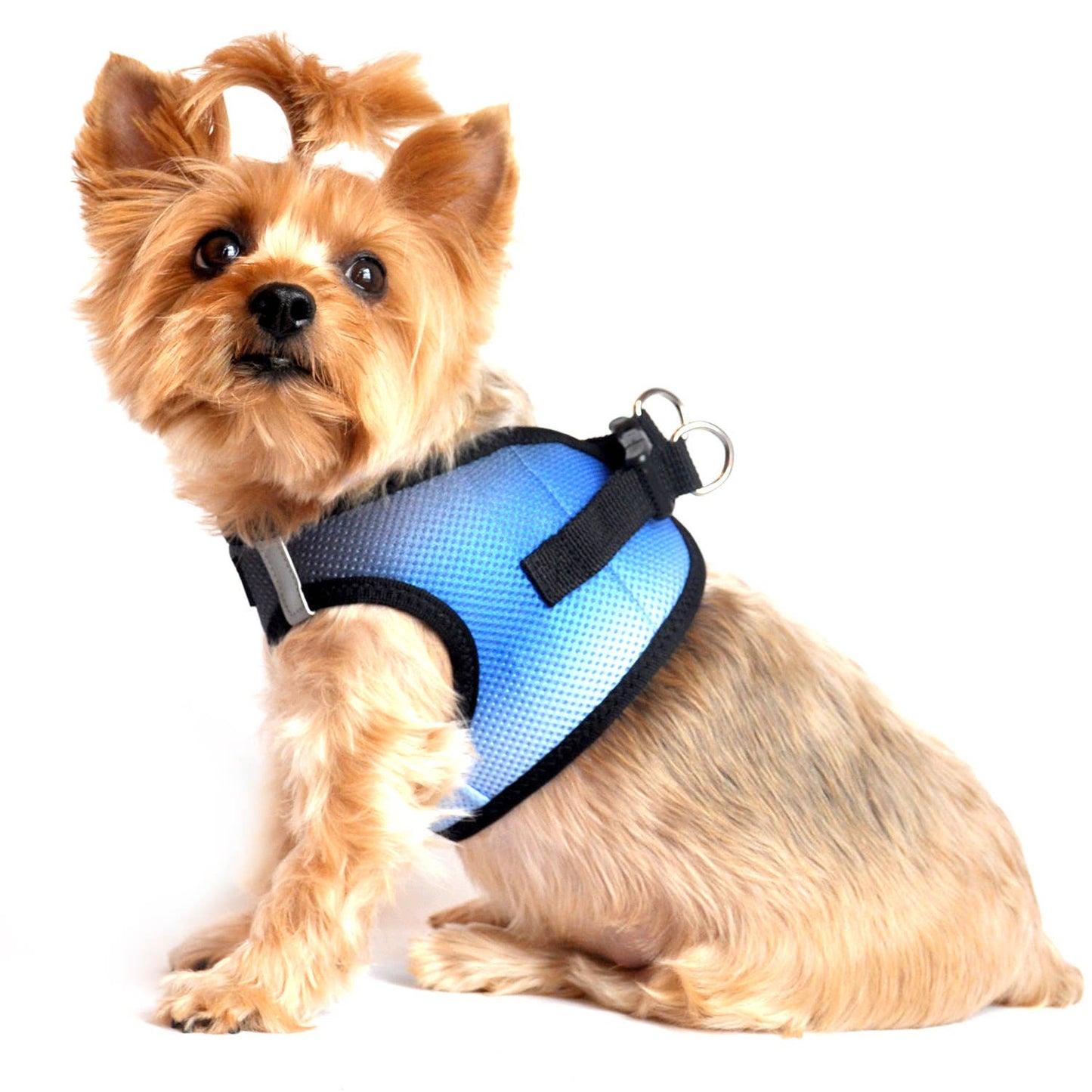 American River Ombre Dog Harness - Midnight Sky