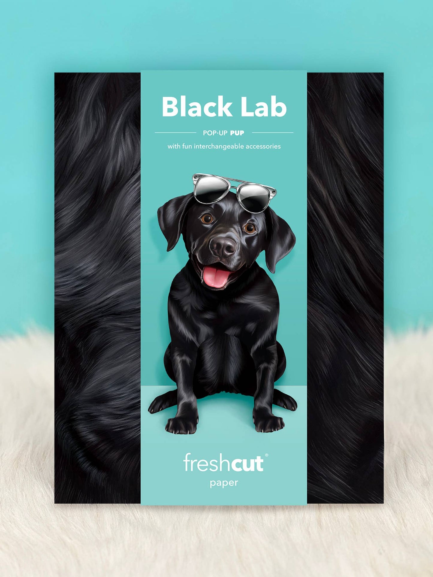 Black Lab (6 Pop-up Greeting Cards)