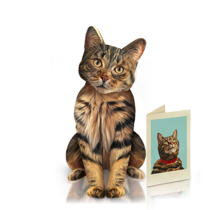 Brown Tabby (6 Pop-up Greeting Cards)