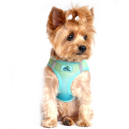 American River Ombre Dog Harness - Aruba Blue