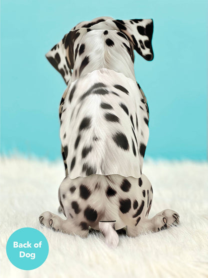 Dalmatian (6 Pop-up Greeting Cards)