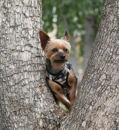 American River Camouflage Dog Harness - Brown Camo