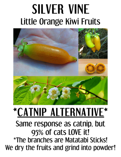 Organic Catnip & Silvervine Bean Bag Cat Toy | Gift for Pet
