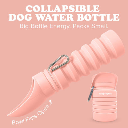 Water Bottles for Dogs - Leakproof, Compact, BPA free