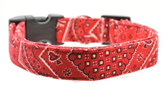 Red Bandana Collar