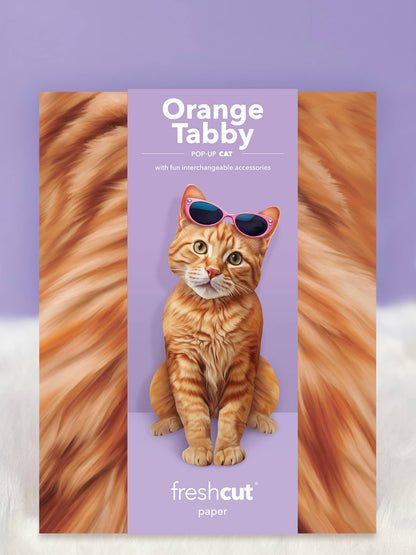 Orange Tabby (6 Pop-up Greeting Cards)