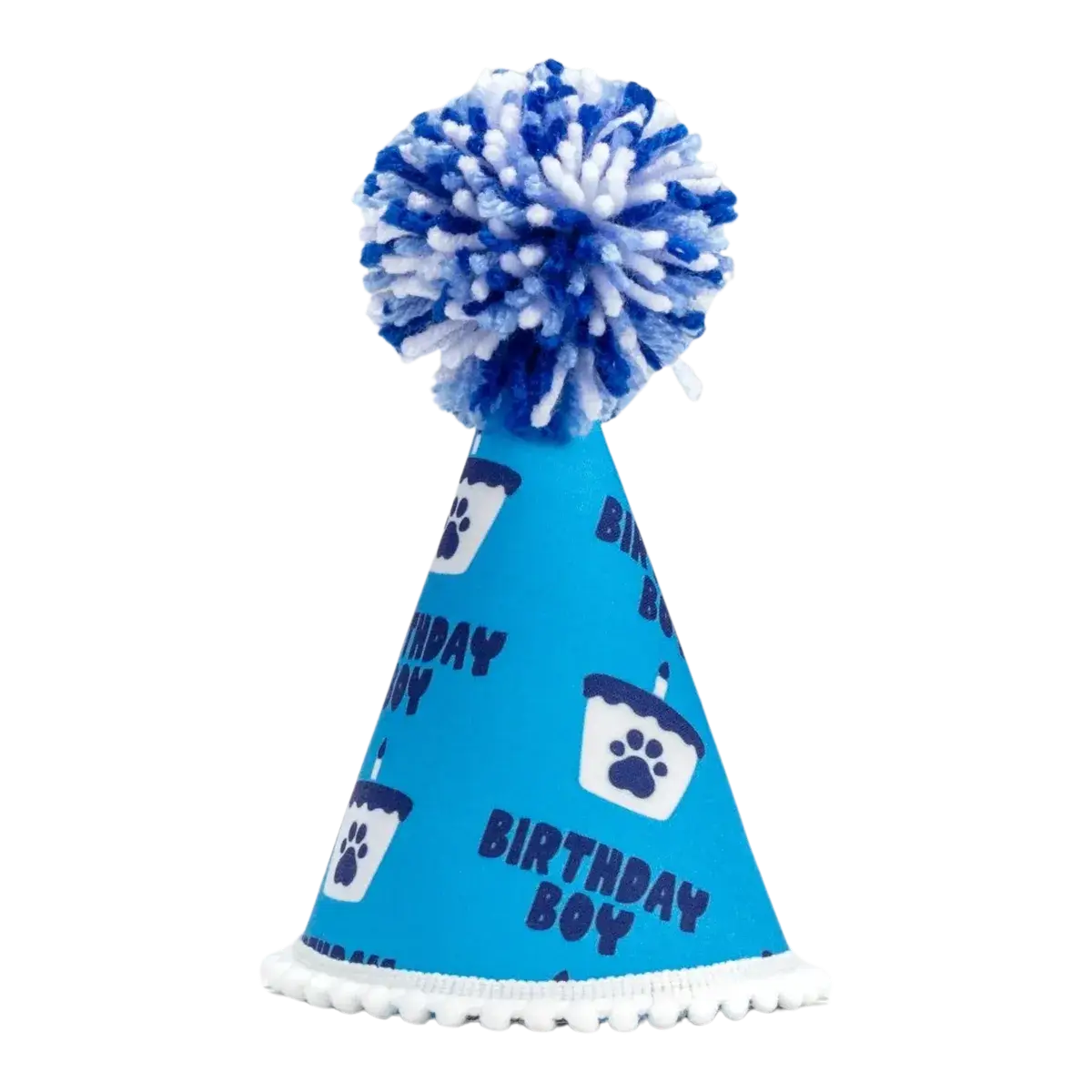 Barkday Boy Hat