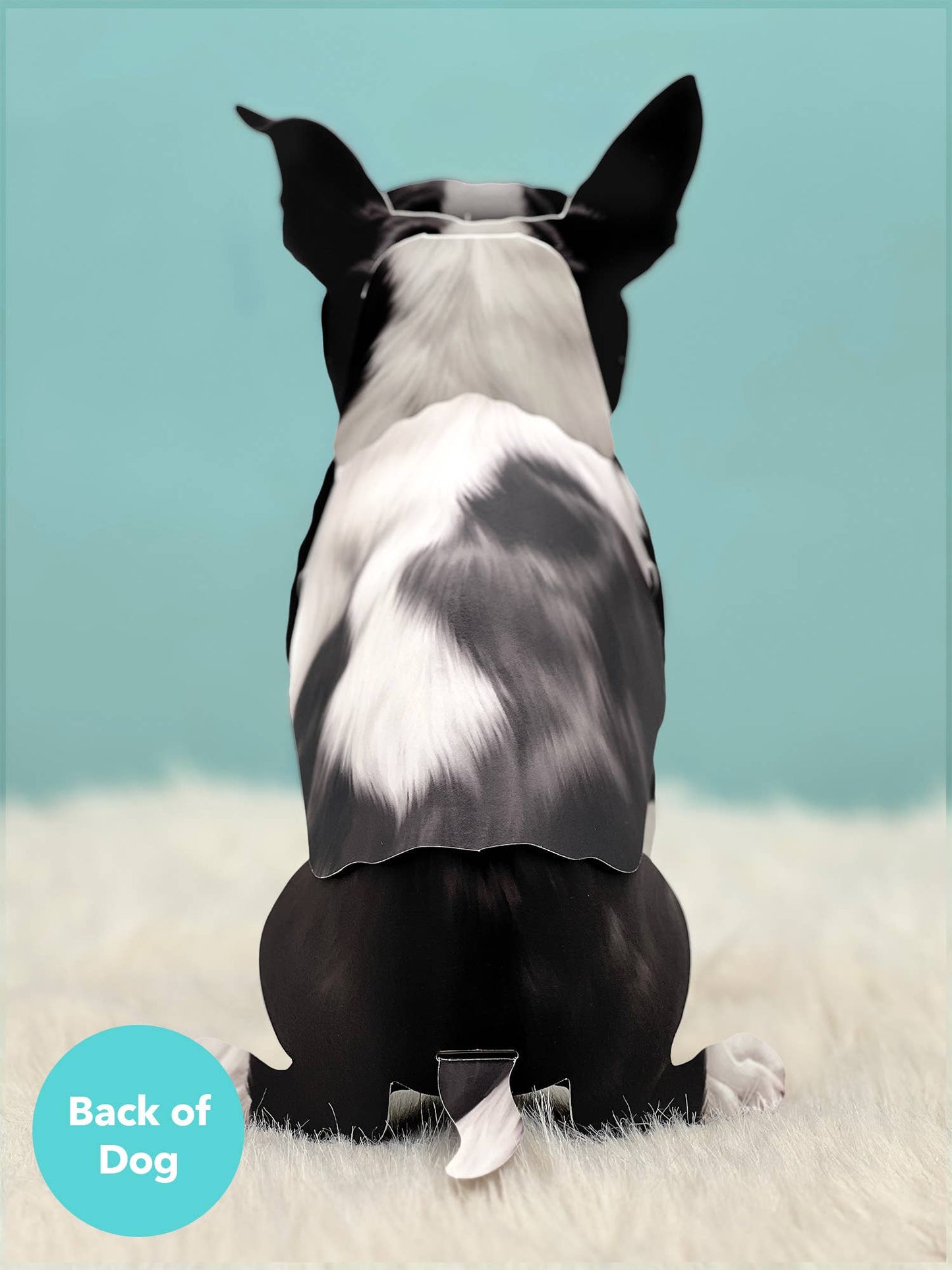 Boston Terrier (6 Pop-up Greeting Cards)