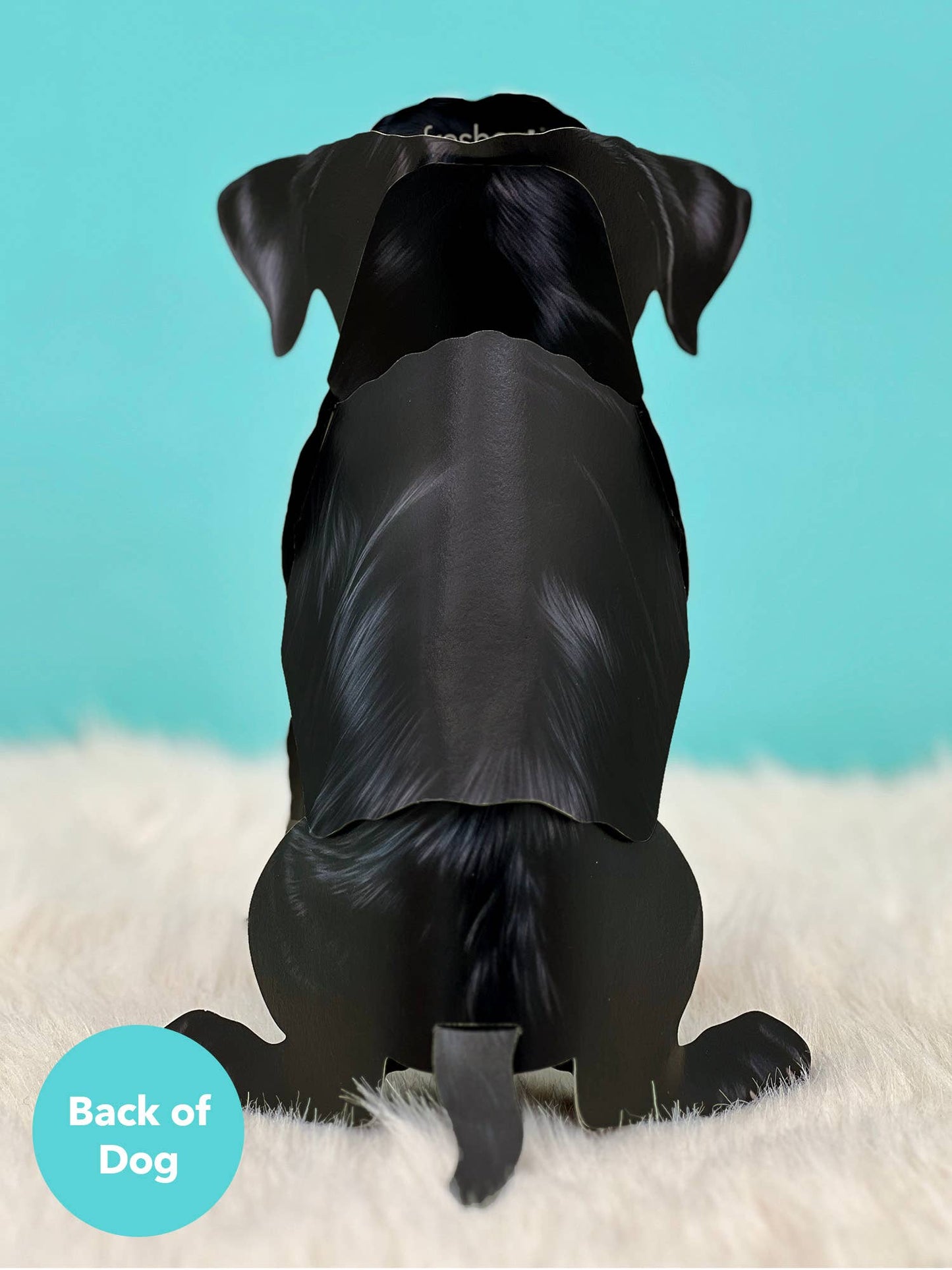 Black Lab (6 Pop-up Greeting Cards)