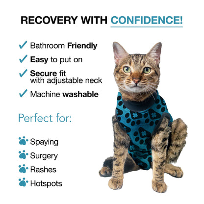BellyGuard Cat Recovery Suit - Blue Paw