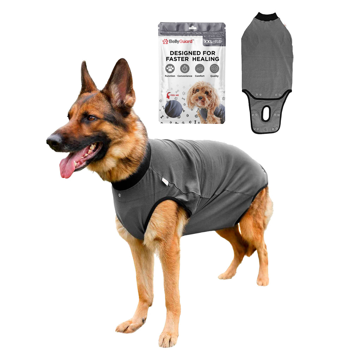 BellyGuard Recovery Suit For Dogs - Grey