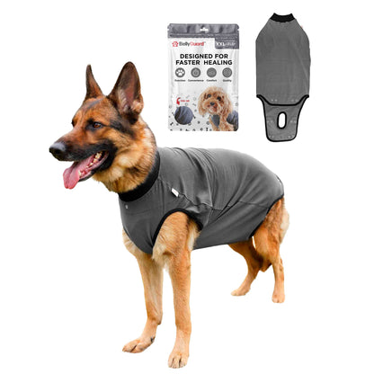 BellyGuard Recovery Suit For Dogs - Grey