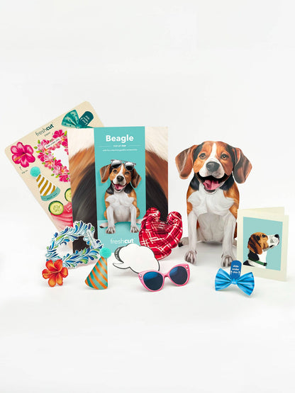 Beagle (6 Pop-up Greeting Cards)