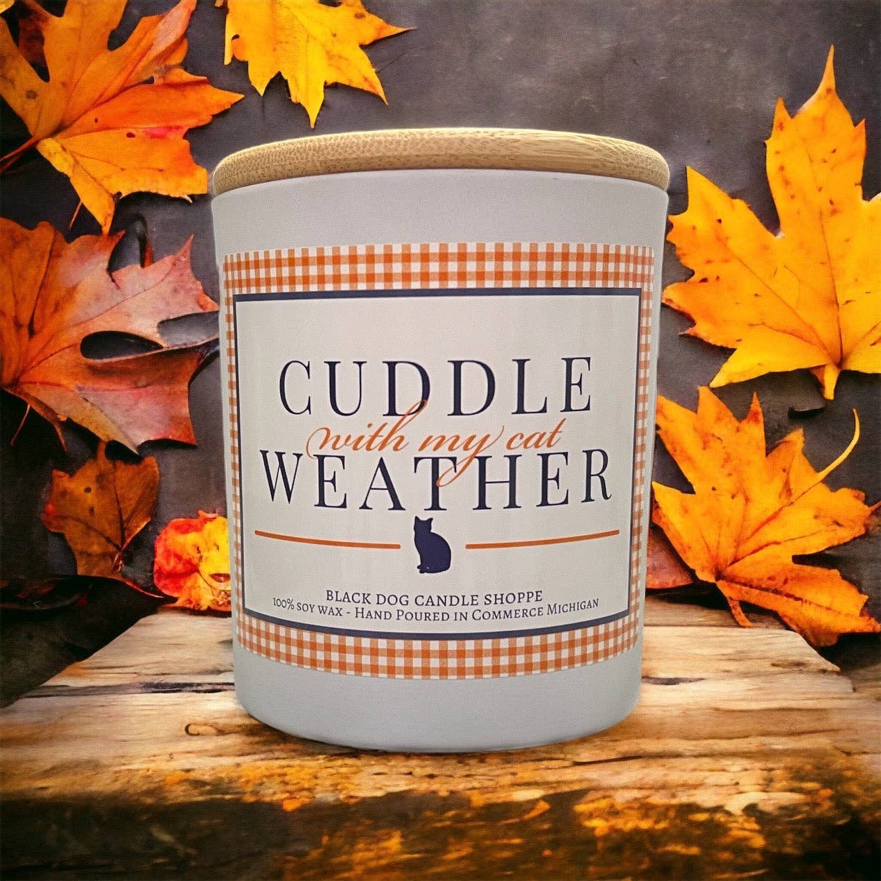Cuddle with my Cat Weather