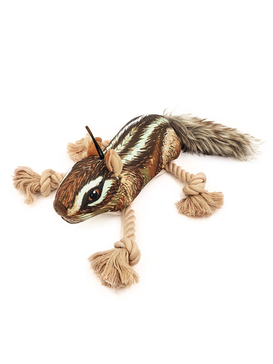 Roper Prairie Chipmunk
