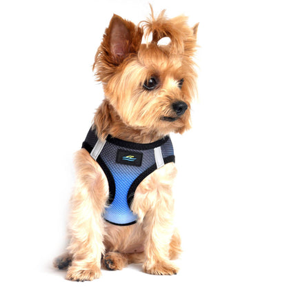 American River Ombre Dog Harness - Midnight Sky