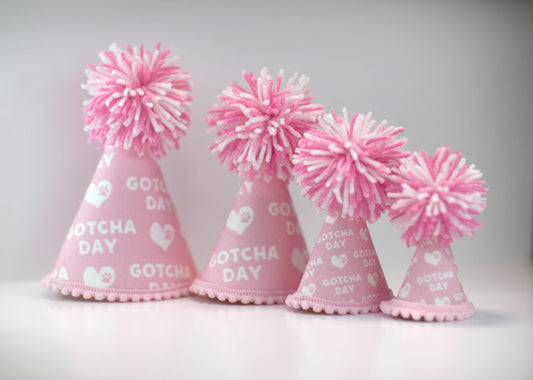 Gotcha Day Pink Party Hat