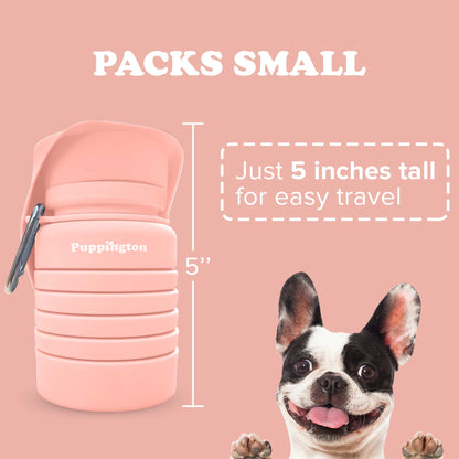 Water Bottles for Dogs - Leakproof, Compact, BPA free