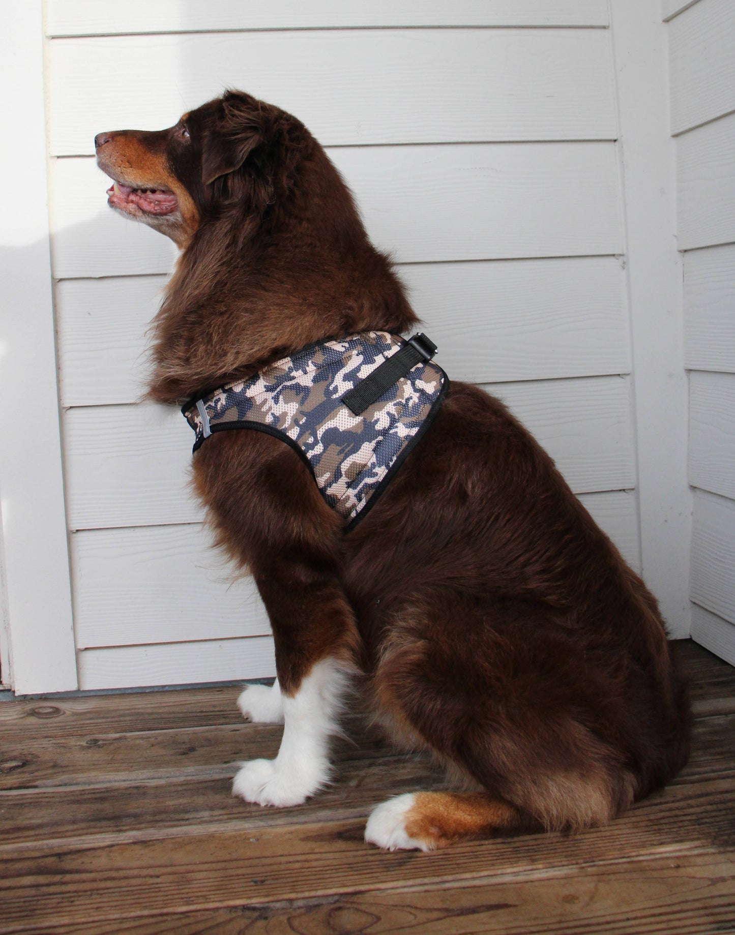 American River Camouflage Dog Harness - Brown Camo