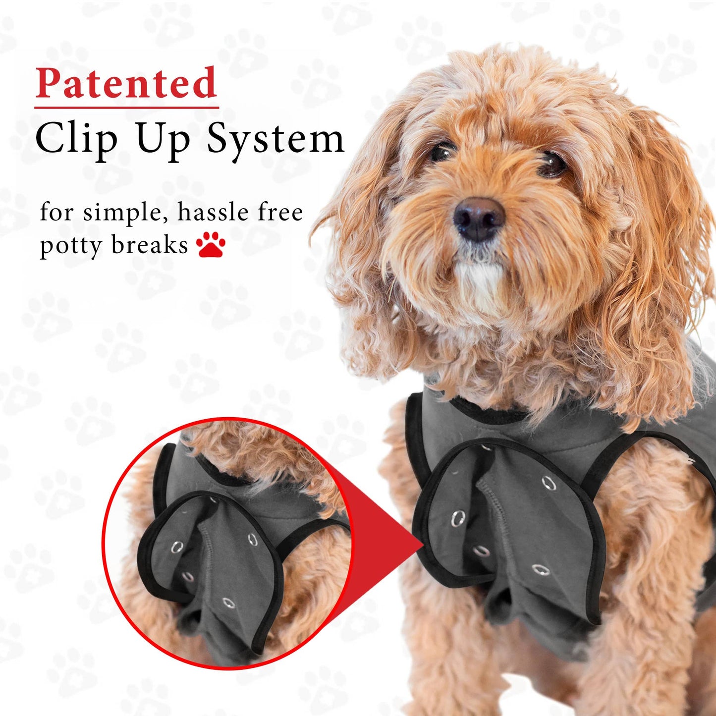 BellyGuard Recovery Suit For Dogs - Grey