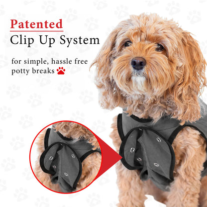 BellyGuard Recovery Suit For Dogs - Grey