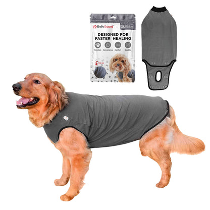 BellyGuard Recovery Suit For Dogs - Grey