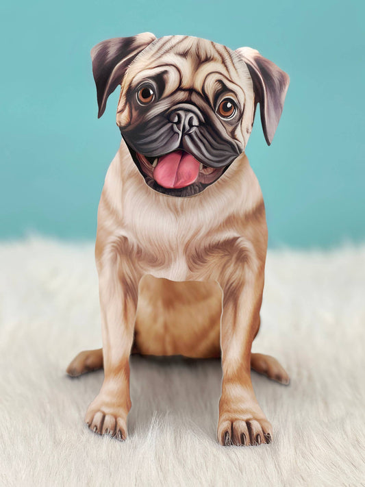 Pug (6 Pop-up Greeting Cards)